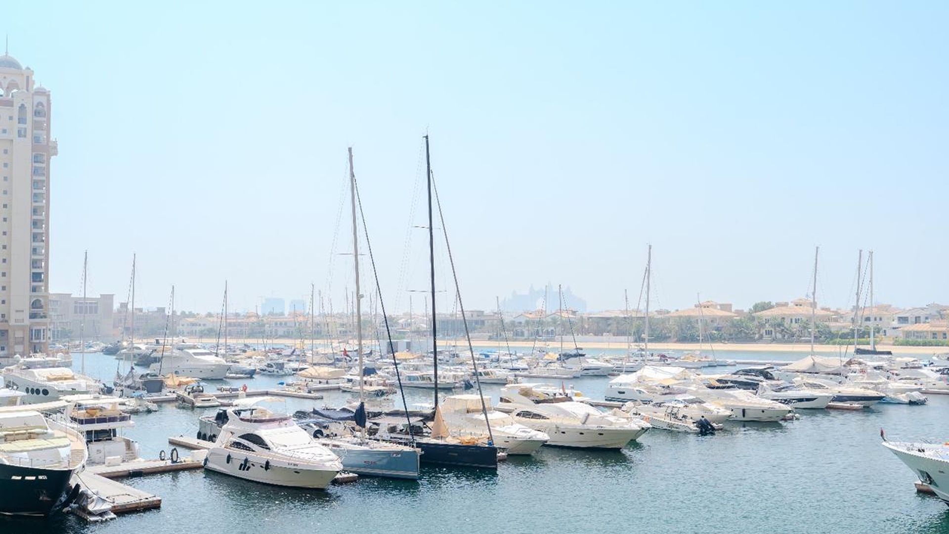 Premium Palm Living | Prime Investment Opportunity 3