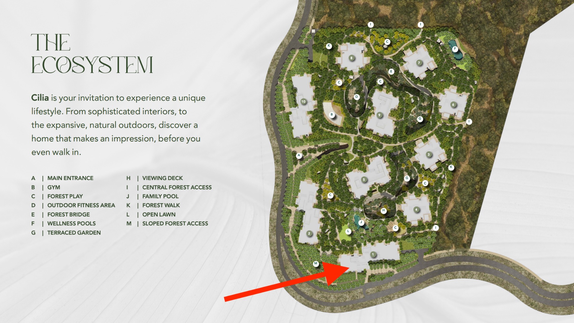 Vacant | 1BR | Pool & Forest View | CEILA Ghafwoods 3